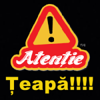 Țeapă: irinabucurestii.com